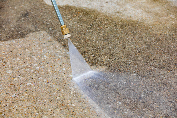 Best Patio and Deck Pressure Washing  in East Norwich, NY